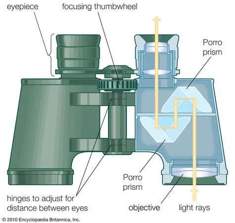 Britannica-binocular-parts