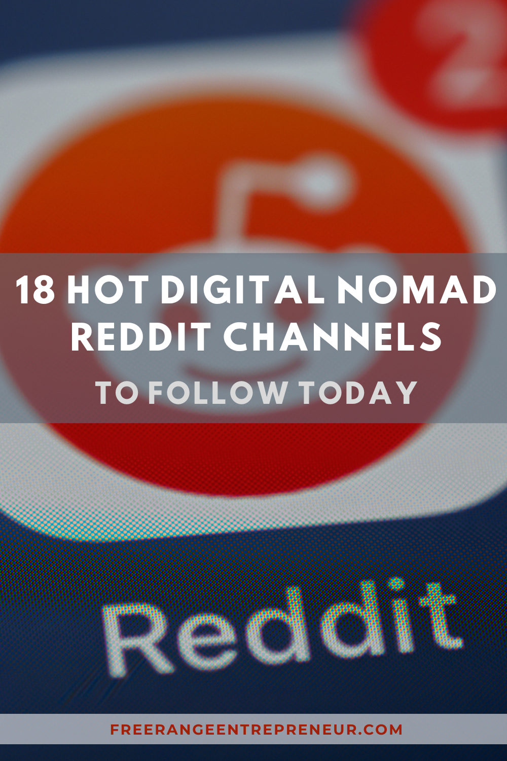 Digital Nomad Reddit Cover freerangeentrepreneur